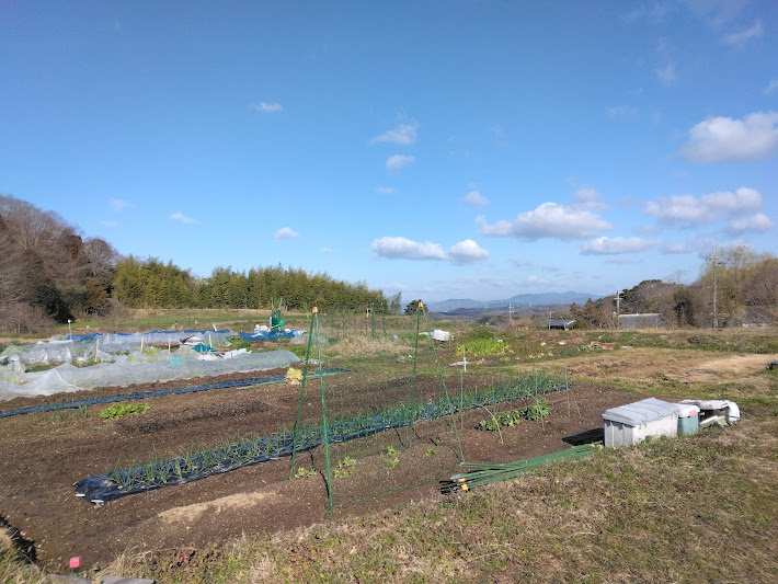 大沢のびのび貸農園